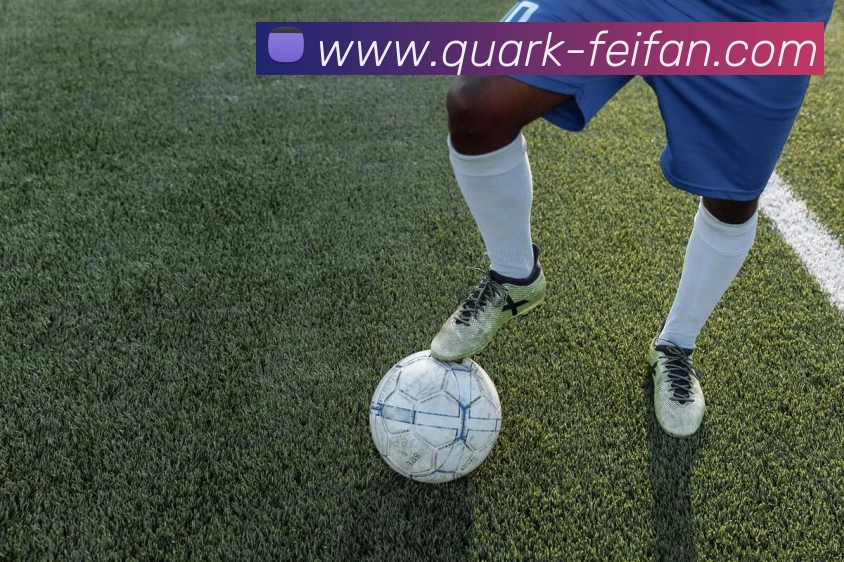 非凡娱乐平台生态图